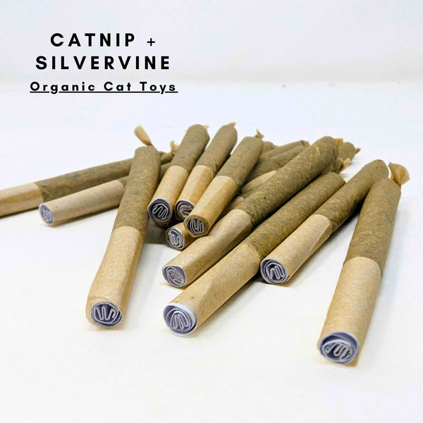 Cat Toy Joints 6 Pack - Organic Catnip + Silvervine