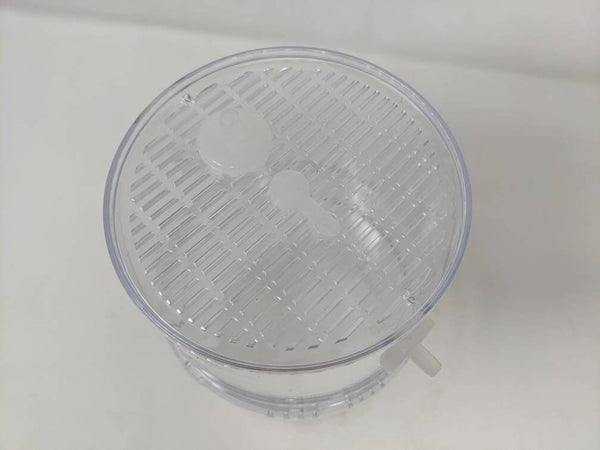 Large Arboreal Spiderling Container