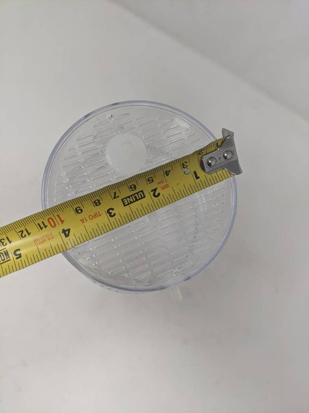 Large Arboreal Spiderling Container