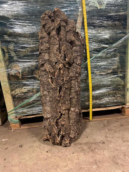 OVERSIZE Cork FLATS Cut to Length- Reptiles, Airplants, Orchids, and Terrariums