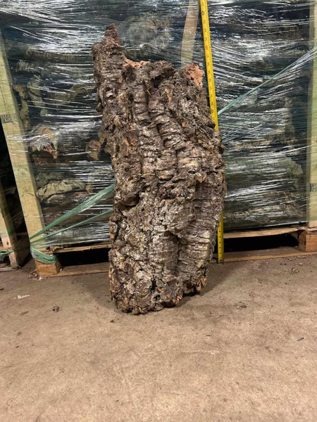 OVERSIZE Cork FLATS Cut to Length- Reptiles, Airplants, Orchids, and Terrariums