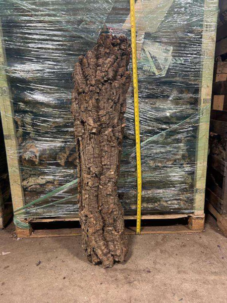 OVERSIZE Cork FLATS Cut to Length- Reptiles, Airplants, Orchids, and Terrariums