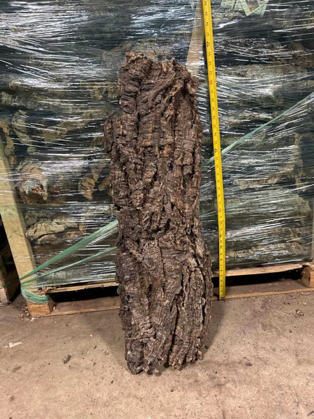 OVERSIZE Cork FLATS Cut to Length- Reptiles, Airplants, Orchids, and Terrariums