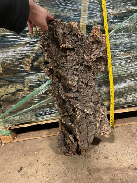 OVERSIZE Cork FLATS Cut to Length- Reptiles, Airplants, Orchids, and Terrariums