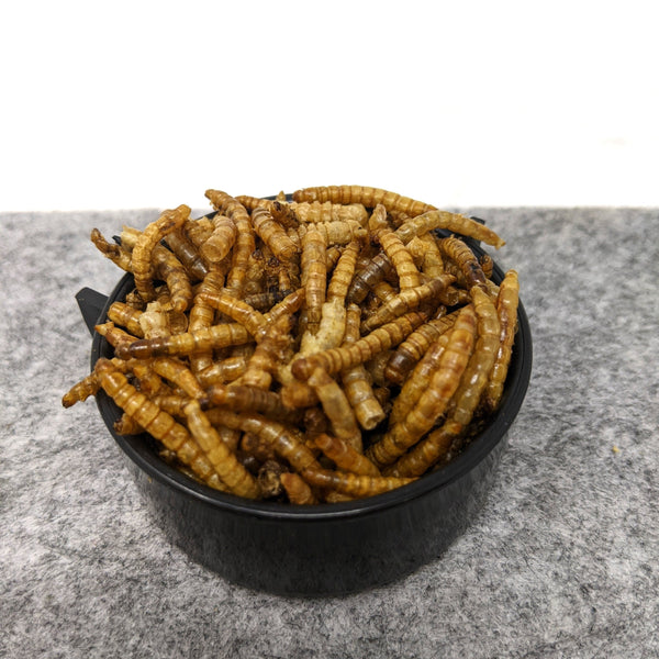 1oz Freeze Dried Mealworms 15g- for Reptiles, Amphibians, Frogs, Birds, Hedgehogs, Skunks