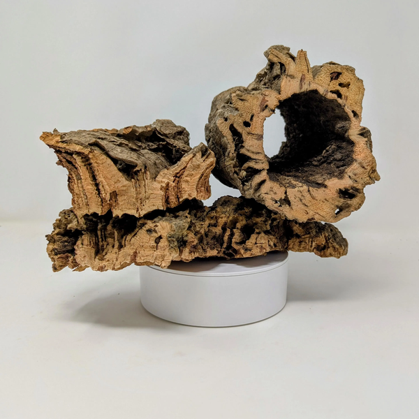 Assorted Cork Bark Flats, Rounds & Half Rounds for Orchids, Airplants, Reptiles + Terrariums – Natural, Eco-Friendly, Versatile Décor