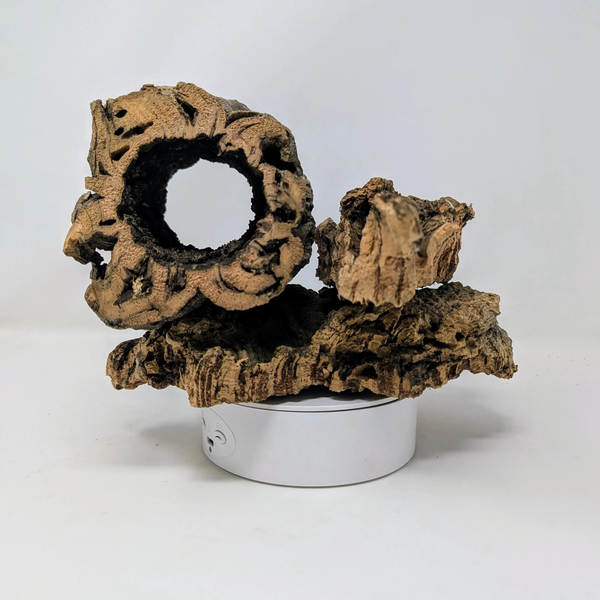 Assorted Cork Bark Flats, Rounds & Half Rounds for Orchids, Airplants, Reptiles + Terrariums – Natural, Eco-Friendly, Versatile Décor