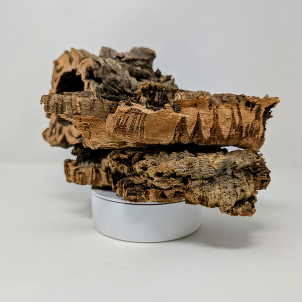 Assorted Cork Bark Flats, Rounds & Half Rounds for Orchids, Airplants, Reptiles + Terrariums – Natural, Eco-Friendly, Versatile Décor