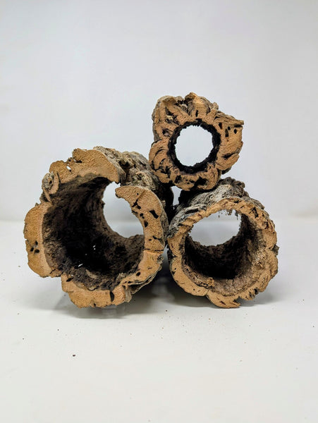 Cork Rounds by Size - for Orchids, Airplants, Reptiles, and Terrariums