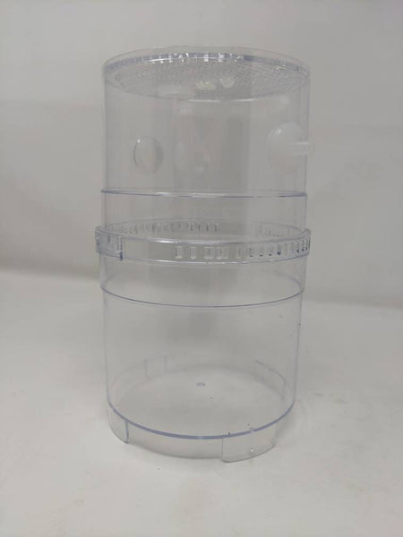 Large Arboreal Spiderling Container