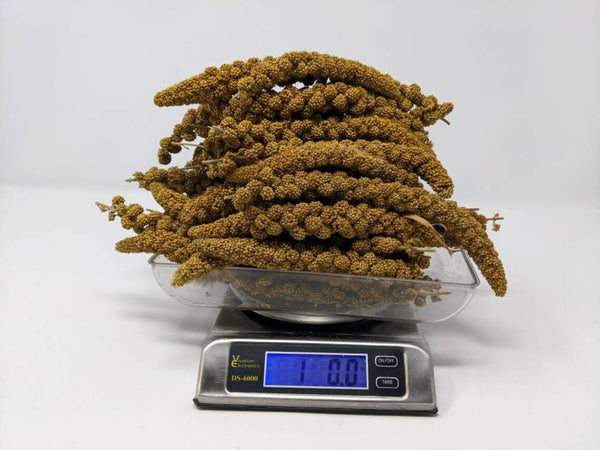 Handpicked Golden Spray Millet