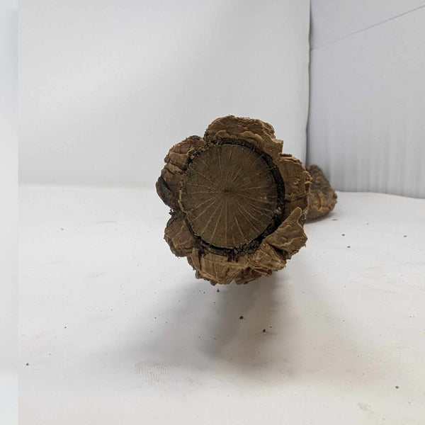 Cork Bark Branches (Solid Core) 6-36" – Natural for Orchids, Airplants, Reptiles, Terrariums + Crafting – Eco-Friendly, Bioactive