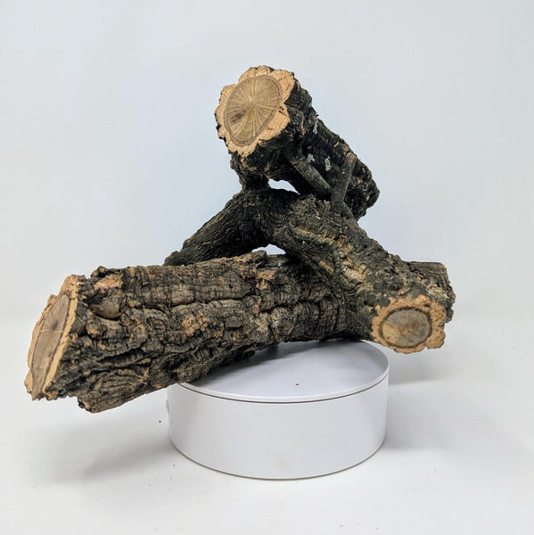 Cork Bark Branches (Solid Core) 6-36" – Natural for Orchids, Airplants, Reptiles, Terrariums + Crafting – Eco-Friendly, Bioactive