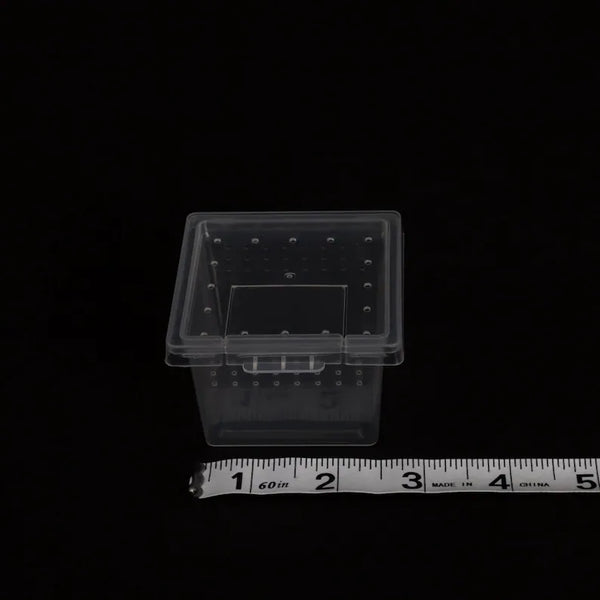 Clear Stackable Invertebrate & Reptile Keeper Box