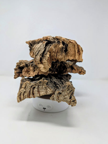 Cork FLATS by Weight + SIze - for Orchids, Airplants, Reptiles, and Terrariums