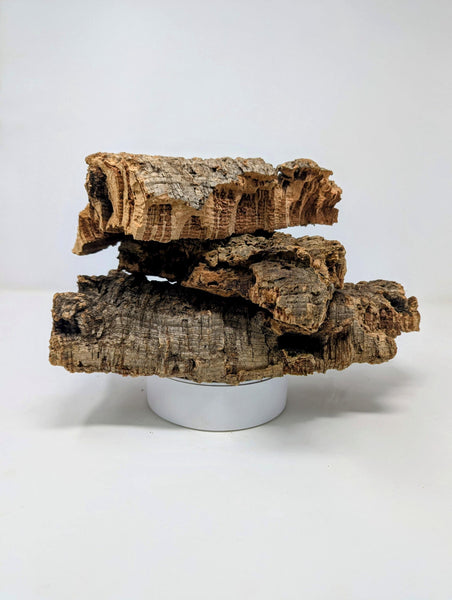 Cork FLATS by Weight + SIze - for Orchids, Airplants, Reptiles, and Terrariums