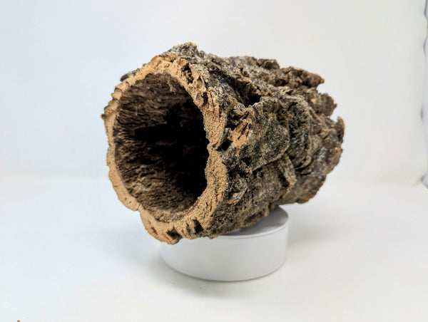 Cork ROUNDS by Weight - for Animal Hideouts, Orchids, Airplants, Reptiles, and Terrariums (Copy)