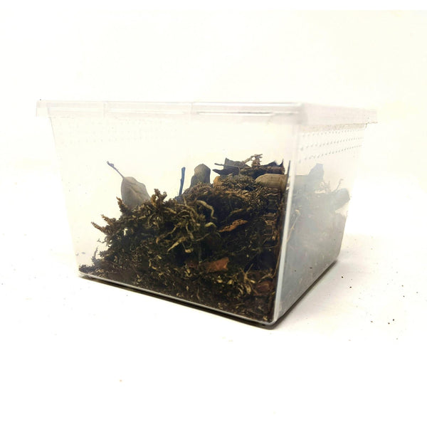 Ventilated Stackable Square Cup Flip Top Enclosures