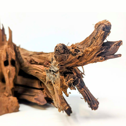 Malaysian Driftwood Pieces by the Pound