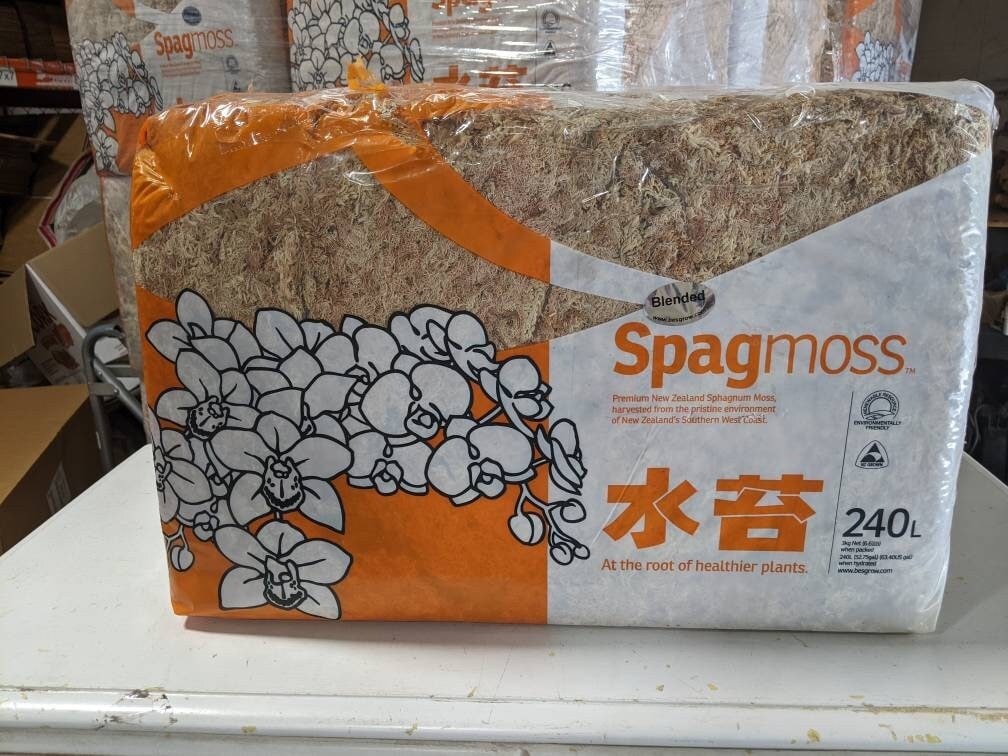 【ラプンツェル様用】MOSS / Sub Templum Live and Dried Mosses – EZ Botanicals