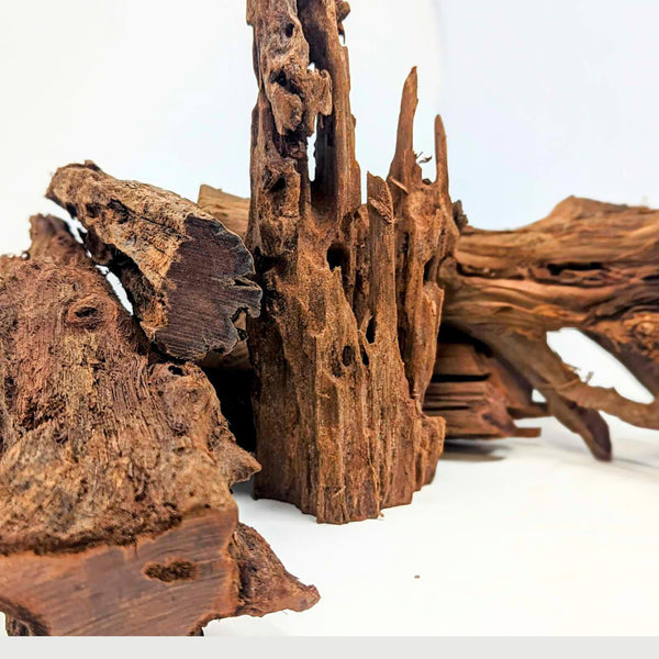 Malaysian Driftwood Pieces by the Pound