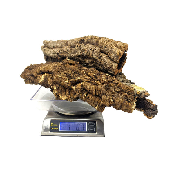1 Pound FLATS Bag of Virgin Cork Bark - for Orchids, Airplants, Reptiles, and Terrariums