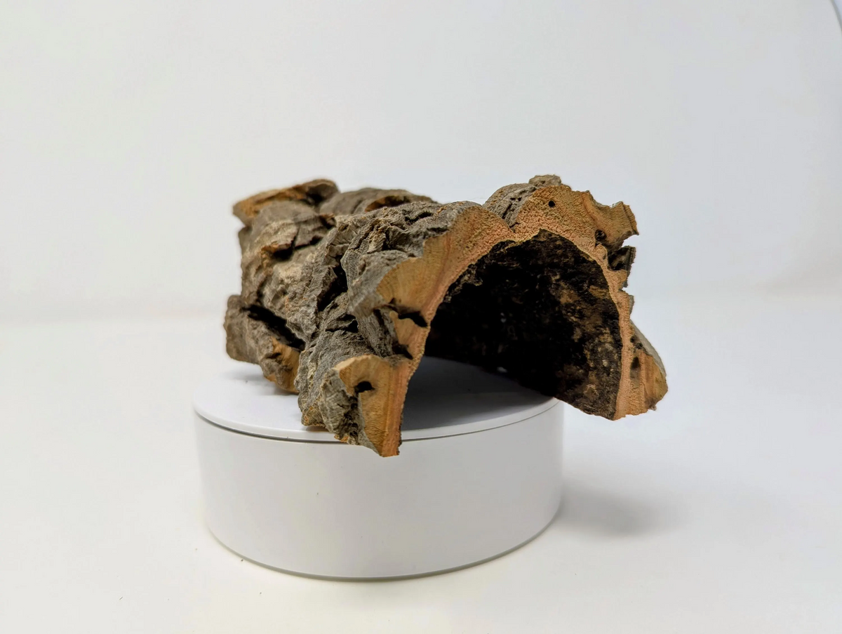 Cork HALF-ROUNDS by Weight - for Animal Hideouts, Orchids, Airplants ...