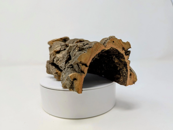 Cork HALF-ROUNDS by Weight - for Animal Hideouts, Orchids, Airplants, Reptiles, and Terrariums