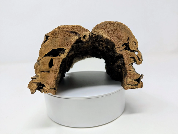 Cork HALF-ROUNDS by Weight - for Animal Hideouts, Orchids, Airplants, Reptiles, and Terrariums