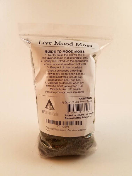 Live Mood Moss (Terrarium, Vivarium, Fairy Garden, Home Decor, Modeling)