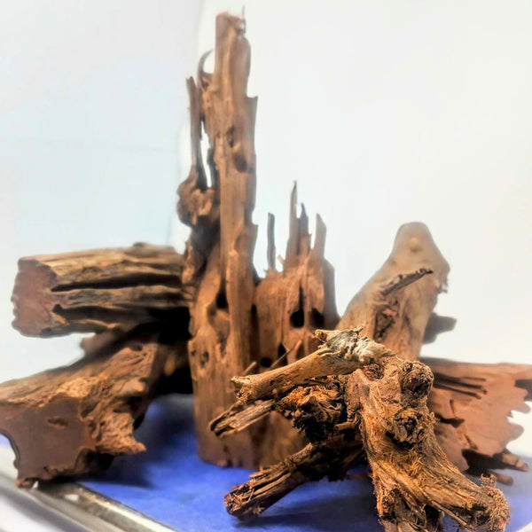 Malaysian Driftwood Pieces by the Pound