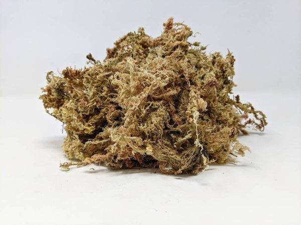 6 Gallon Long Fiber New Zealand Sphagnum Moss 30oz [840 Grams]