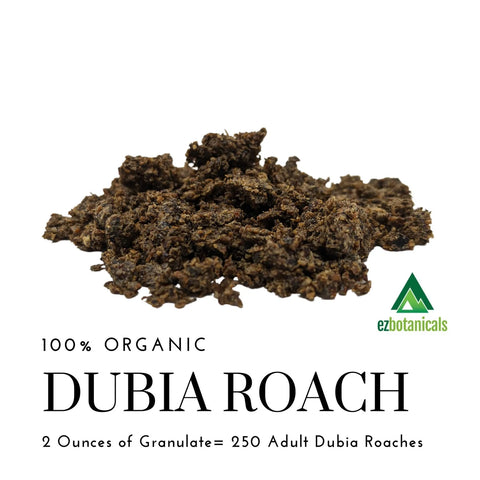 Organic Granulated Dubia Roaches for Reptiles, Chickens. and Birds