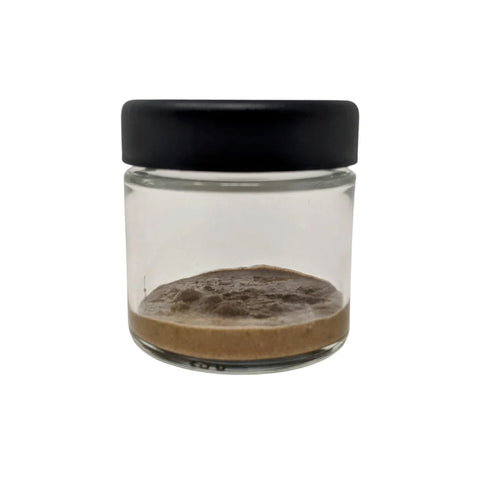 Springtail Clay Jar - Ready to Use - Calcium Bentonite - 4oz for Clay Cultures