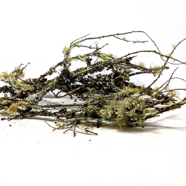 Lichen Branches (2.5oz)