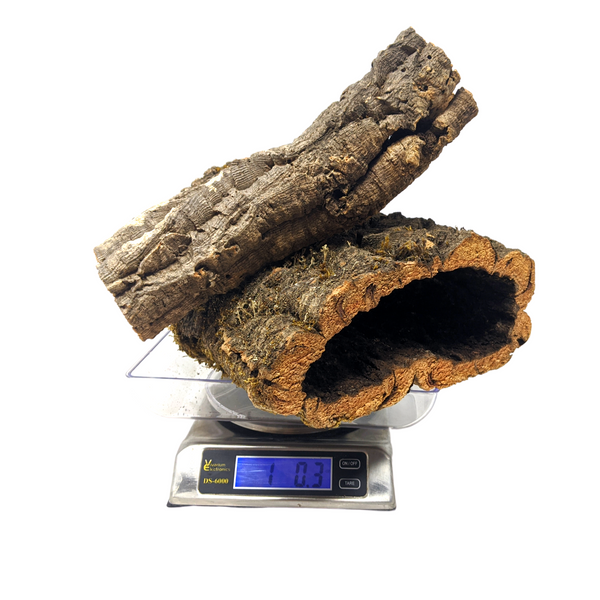 1 Pound Virgin Cork Bark - for Orchids, Airplants, Reptiles, and Terrariums