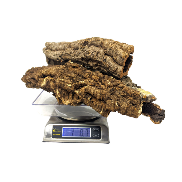 1 Pound Virgin Cork Bark - for Orchids, Airplants, Reptiles, and Terrariums